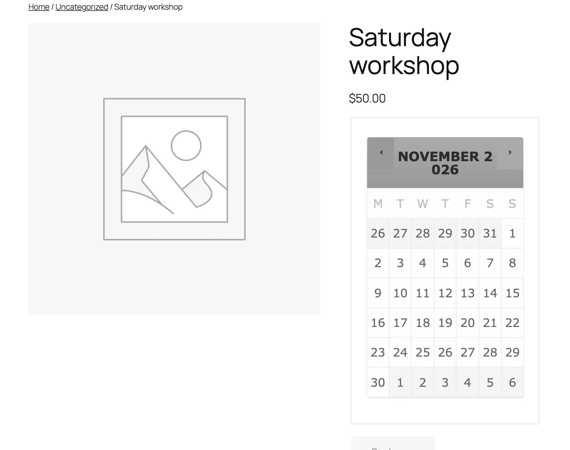 WooCommerce Bookings calendar for a Saturday workshop product in November 2026 with every date grey, including the Saturdays the product rule should have opened