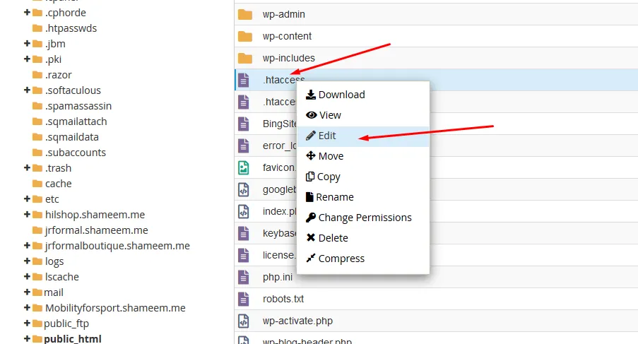 Editing .htaccess file in the file manager