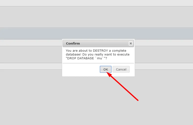 Confirmation prompt before dropping the database