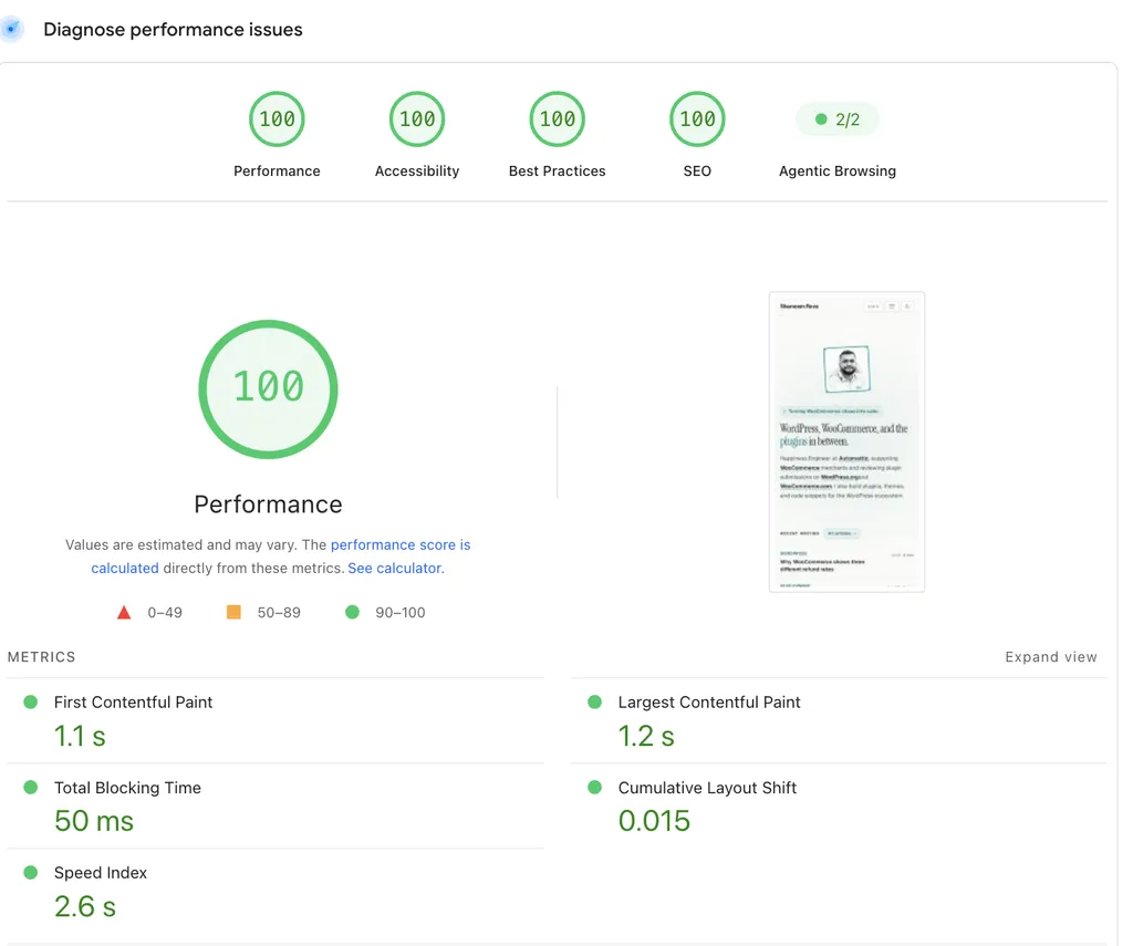 PageSpeed Insights report for shameemreza.com showing a 100 performance score with LCP at 1.2 seconds