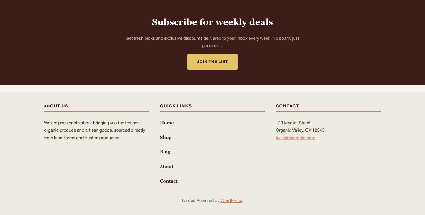Larder theme newsletter call to action and footer with contact details